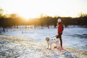 woman, dog, walking, recreational pursuit, Montreal, winter, sunset